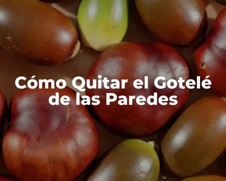 Cómo Quitar el Gotelé de las Paredes
