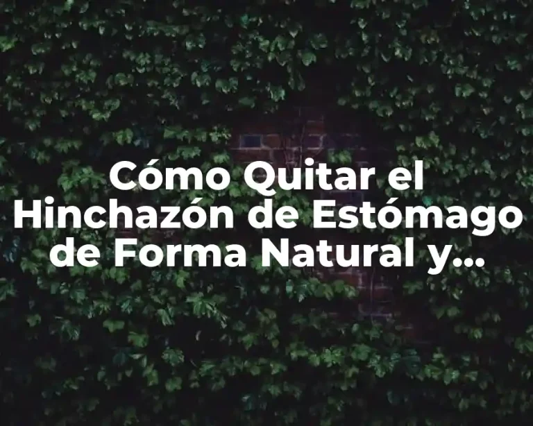 Cómo Quitar el Hinchazón de Estómago de Forma Natural y Efectiva