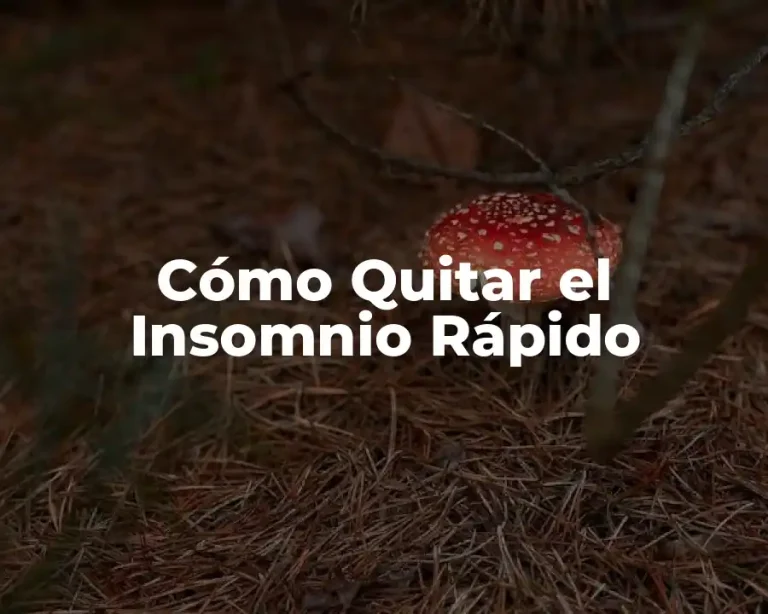 Cómo Quitar el Insomnio Rápido