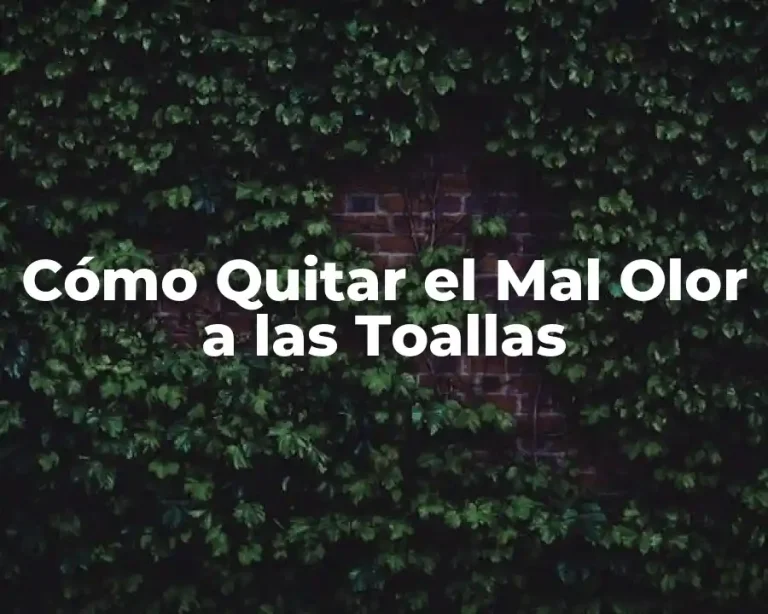 Cómo Quitar el Mal Olor a las Toallas