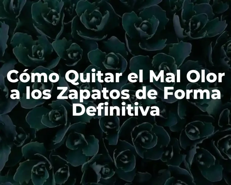 Cómo Quitar el Mal Olor a los Zapatos de Forma Definitiva