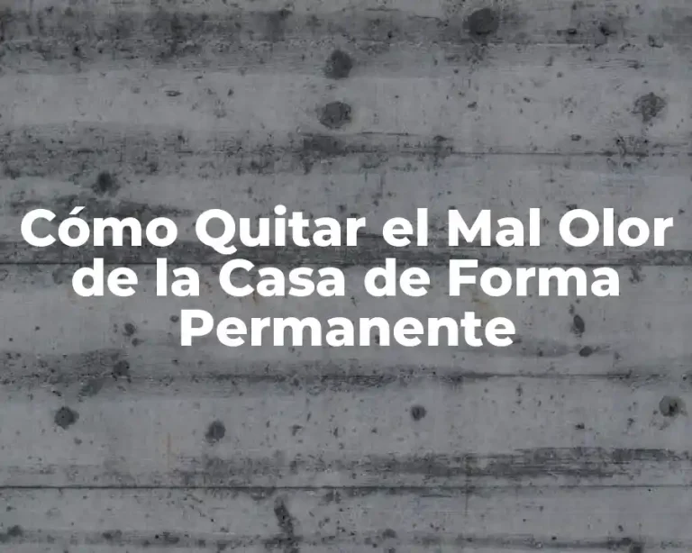 Cómo Quitar el Mal Olor de la Casa de Forma Permanente
