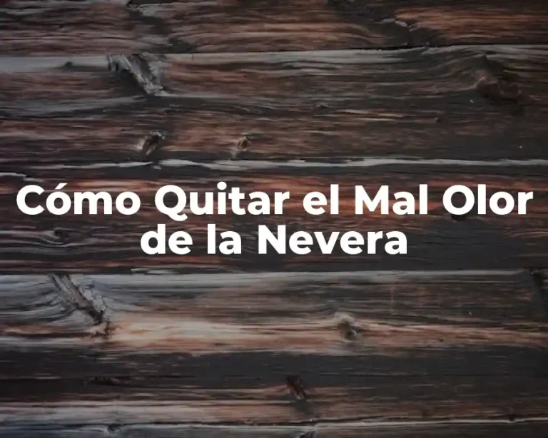 Cómo Quitar el Mal Olor de la Nevera