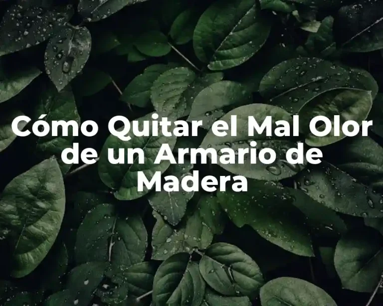 Cómo Quitar el Mal Olor de un Armario de Madera