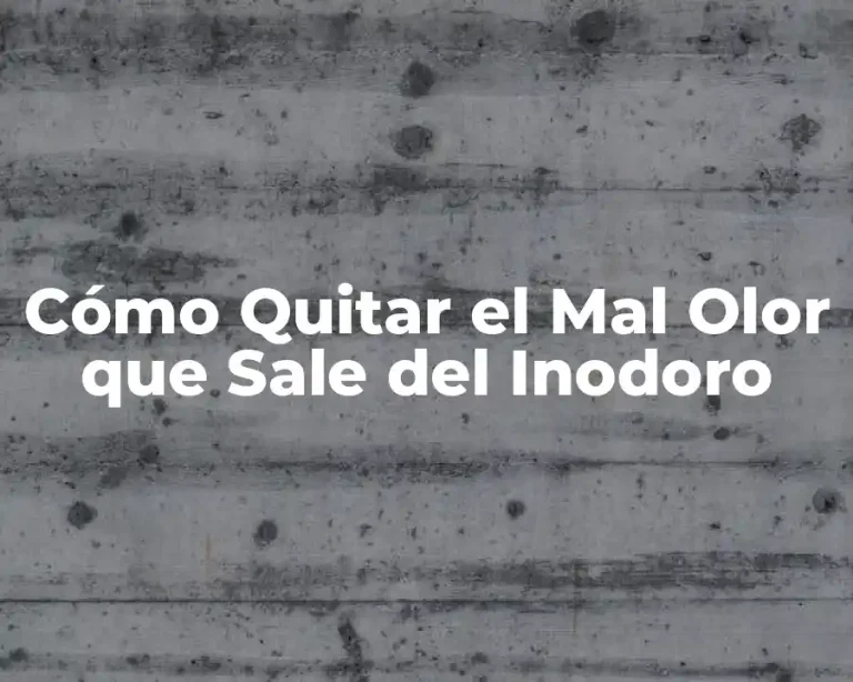 Cómo Quitar el Mal Olor que Sale del Inodoro