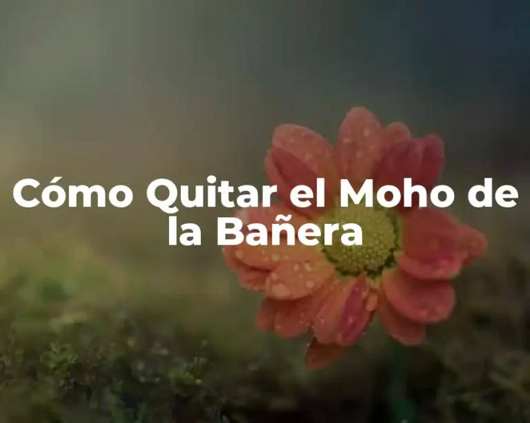 Cómo Quitar el Moho de la Bañera