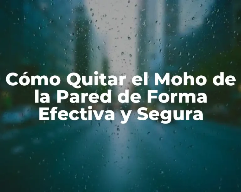 Cómo Quitar el Moho de la Pared de Forma Efectiva y Segura