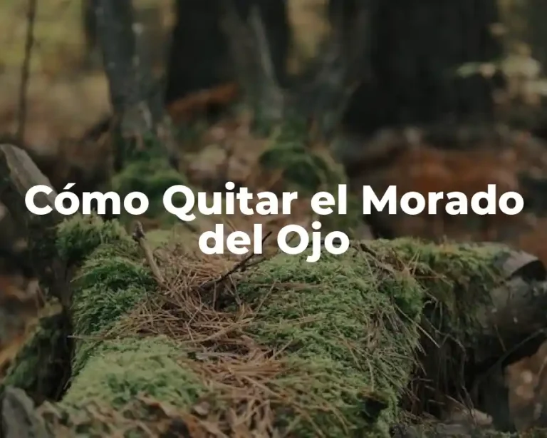 Cómo Quitar el Morado del Ojo