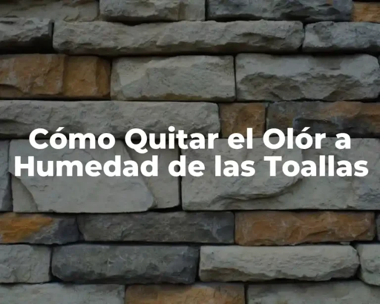 Cómo Quitar el Olór a Humedad de las Toallas