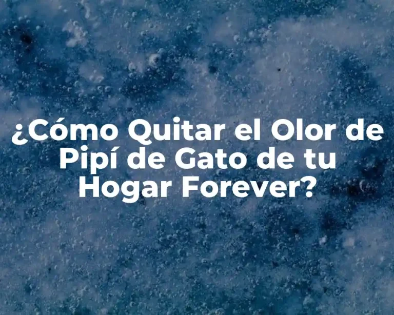 ¿Cómo Quitar el Olor de Pipí de Gato de tu Hogar Forever?