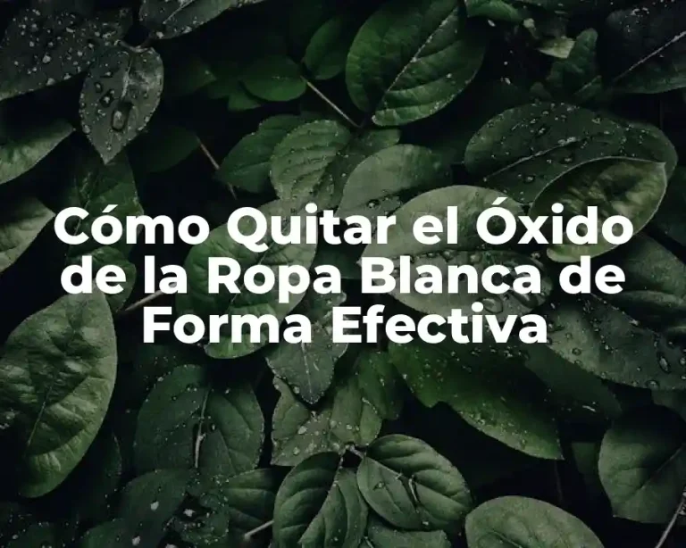 Cómo Quitar el Óxido de la Ropa Blanca de Forma Efectiva