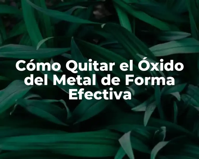 Cómo Quitar el Óxido del Metal de Forma Efectiva