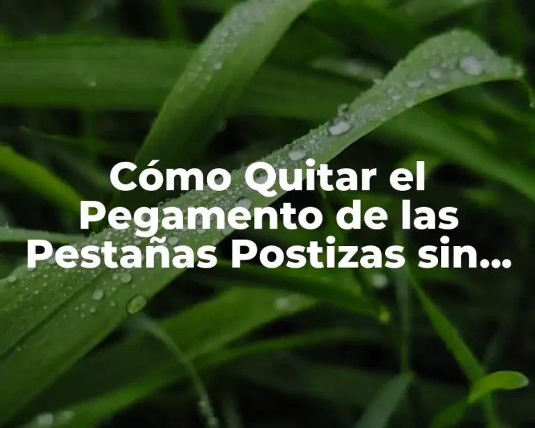 Cómo Quitar el Pegamento de las Pestañas Postizas sin Dañar tus Pestañas Naturales