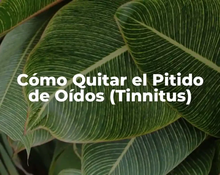 Cómo Quitar el Pitido de Oídos (Tinnitus)