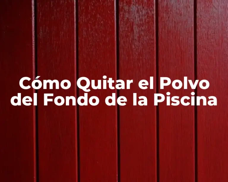 Cómo Quitar el Polvo del Fondo de la Piscina