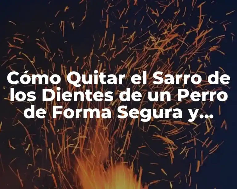 Cómo Quitar el Sarro de los Dientes de un Perro de Forma Segura y Efectiva