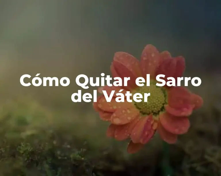 Cómo Quitar el Sarro del Váter