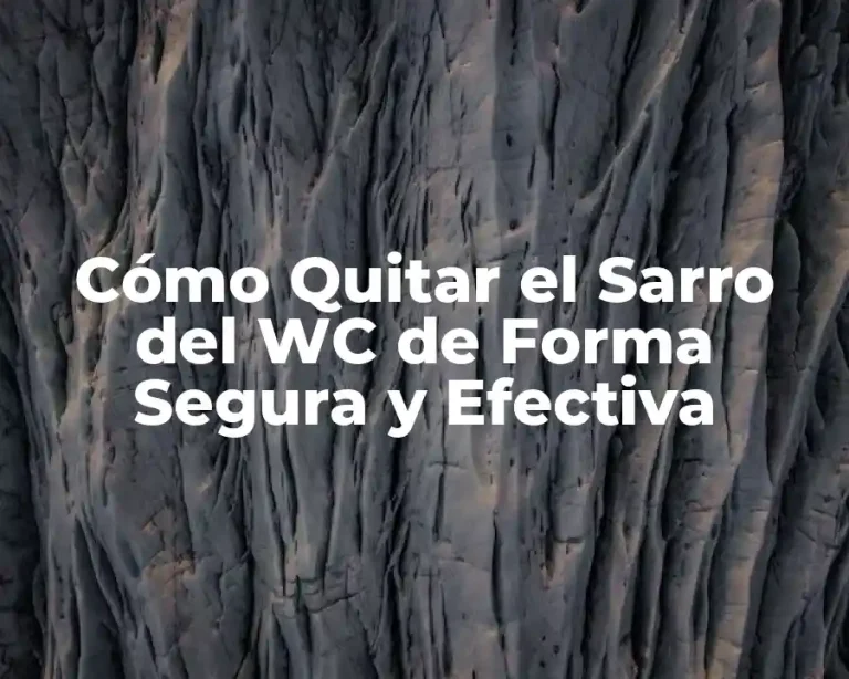 Cómo Quitar el Sarro del WC de Forma Segura y Efectiva