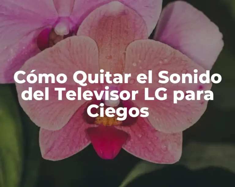 Cómo Quitar el Sonido del Televisor LG para Ciegos