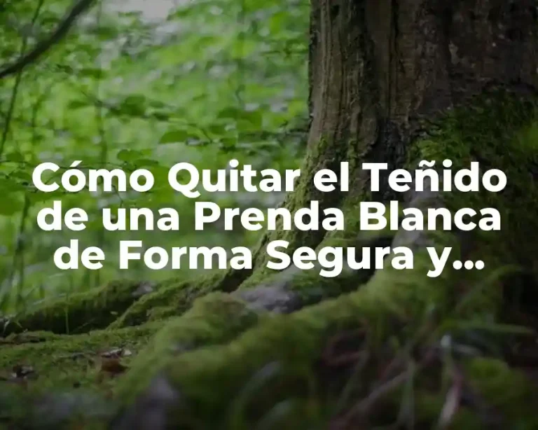 Cómo Quitar el Teñido de una Prenda Blanca de Forma Segura y Efectiva