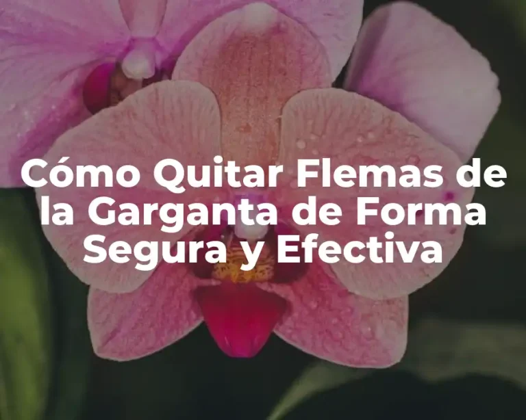 Cómo Quitar Flemas de la Garganta de Forma Segura y Efectiva