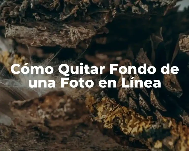 Cómo Quitar Fondo de una Foto en Línea