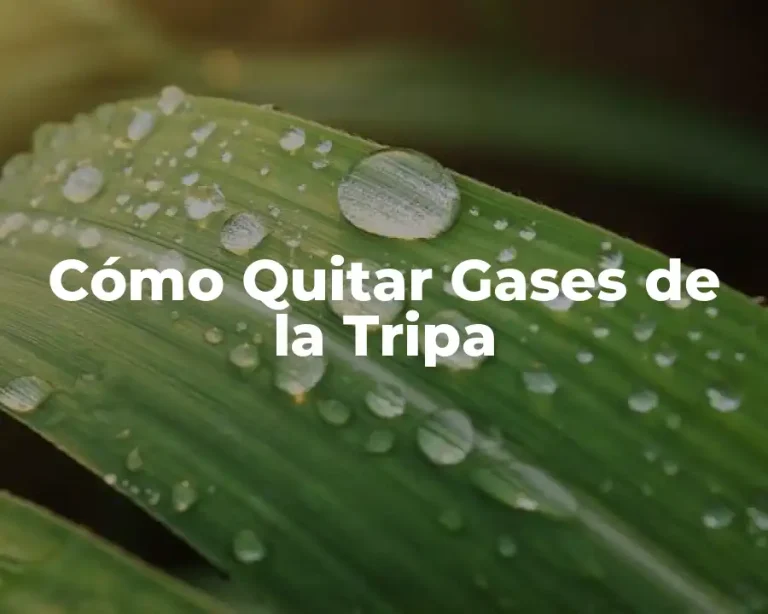 Cómo Quitar Gases de la Tripa