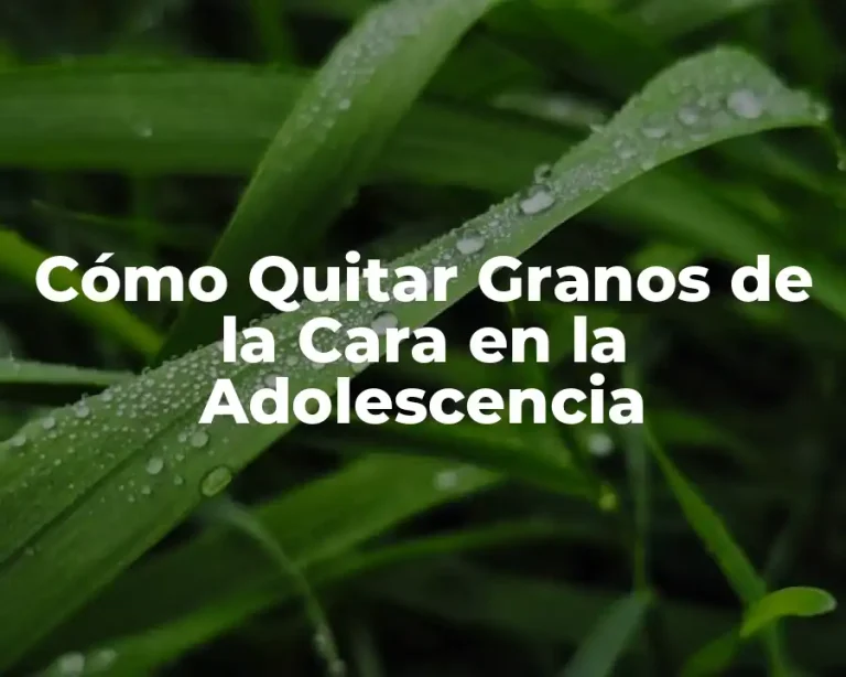 Cómo Quitar Granos de la Cara en la Adolescencia