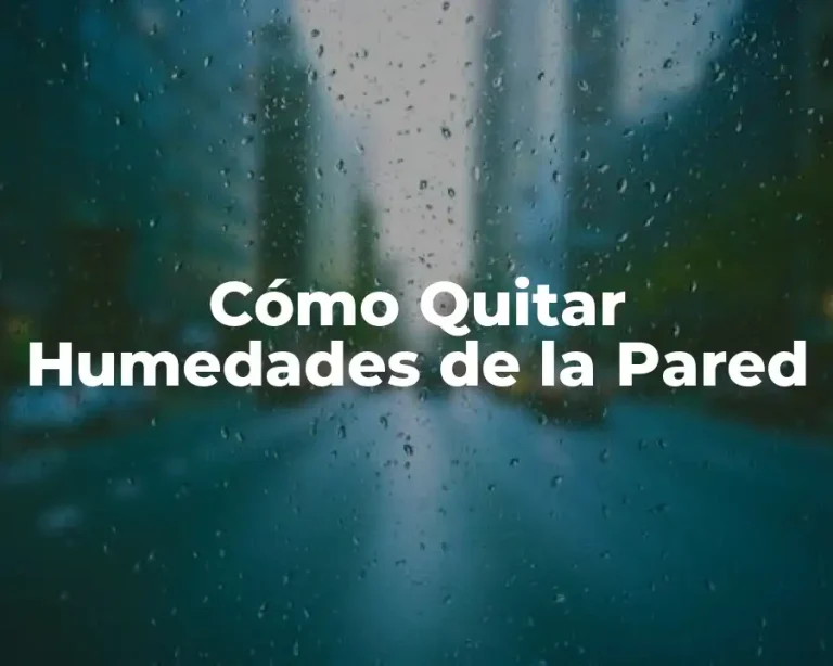 Cómo Quitar Humedades de la Pared