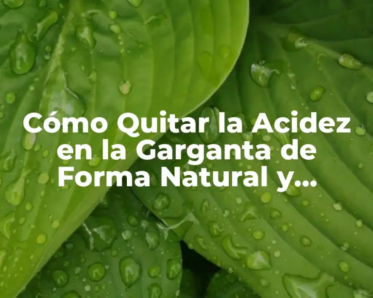 Cómo Quitar la Acidez en la Garganta de Forma Natural y Efectiva