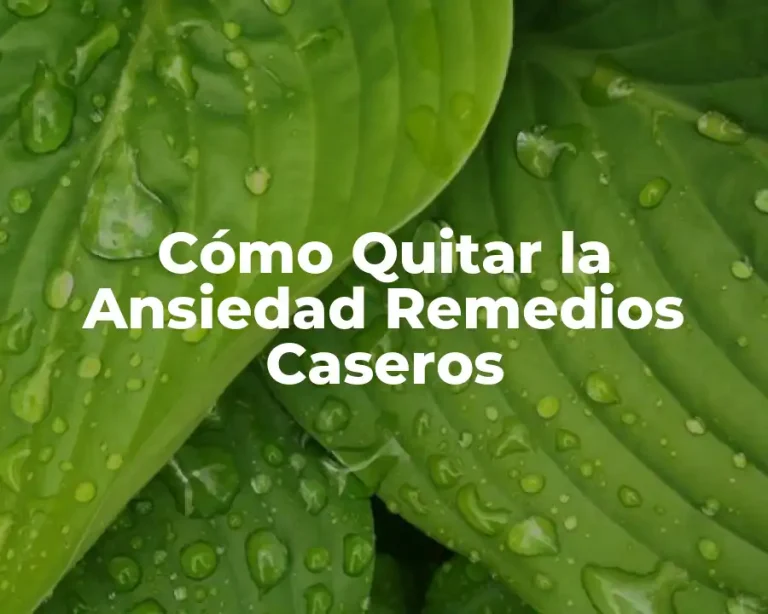 Cómo Quitar la Ansiedad Remedios Caseros