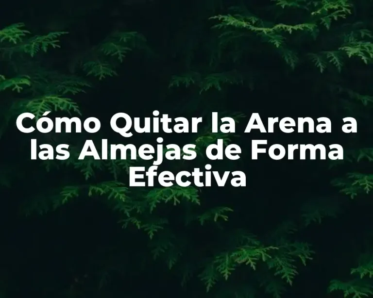 Cómo Quitar la Arena a las Almejas de Forma Efectiva