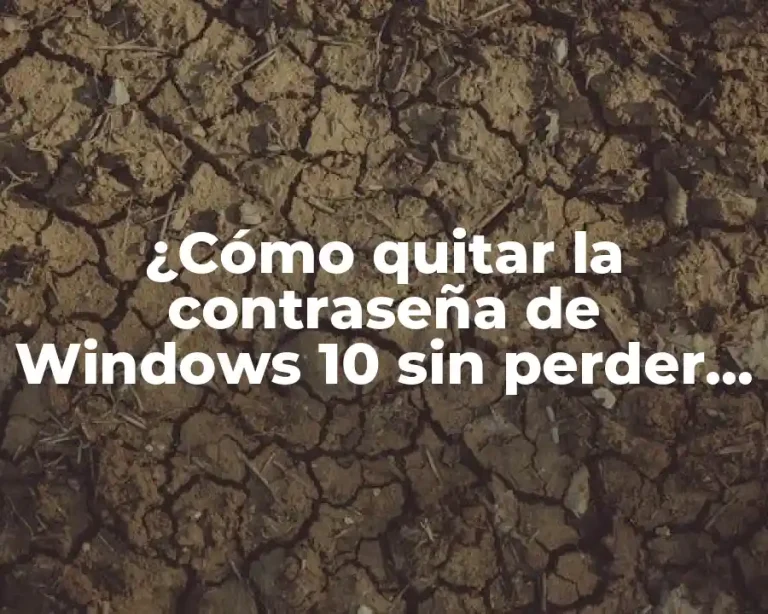 ¿Cómo quitar la contraseña de Windows 10 sin perder datos?