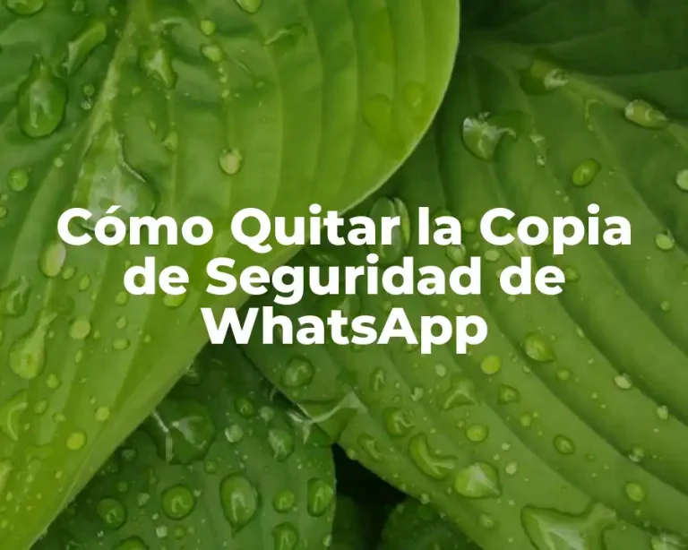 Cómo Quitar la Copia de Seguridad de WhatsApp