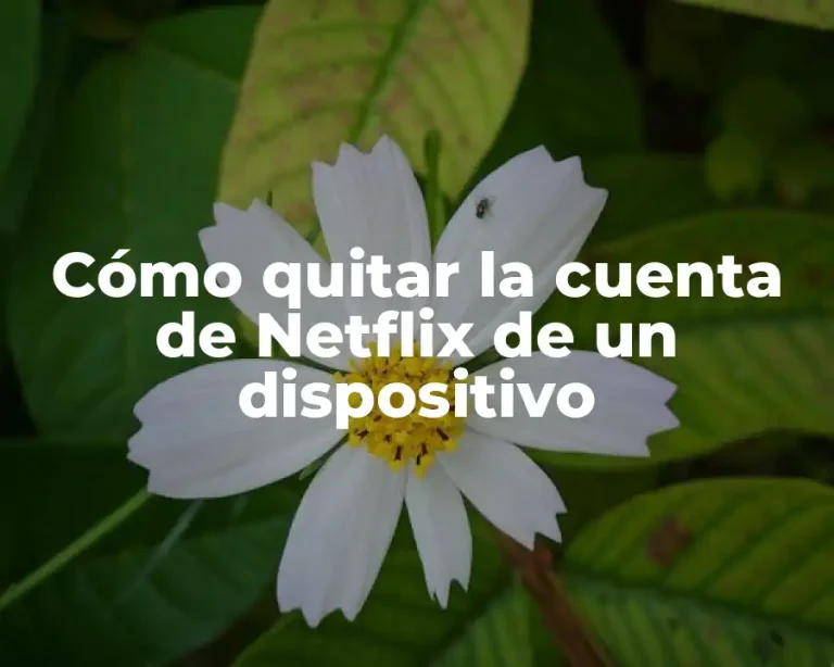 Cómo quitar la cuenta de Netflix de un dispositivo