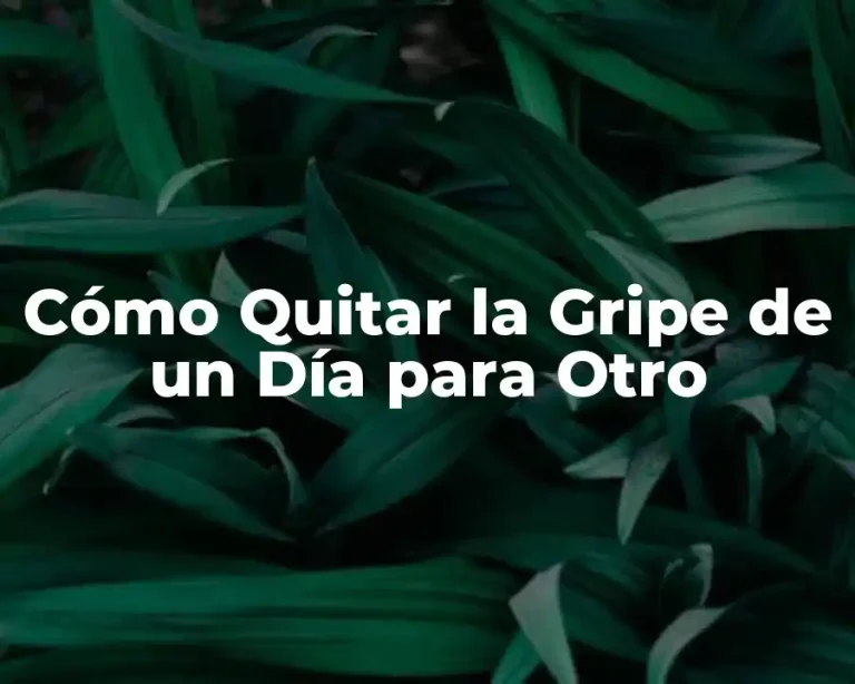 Cómo Quitar la Gripe de un Día para Otro
