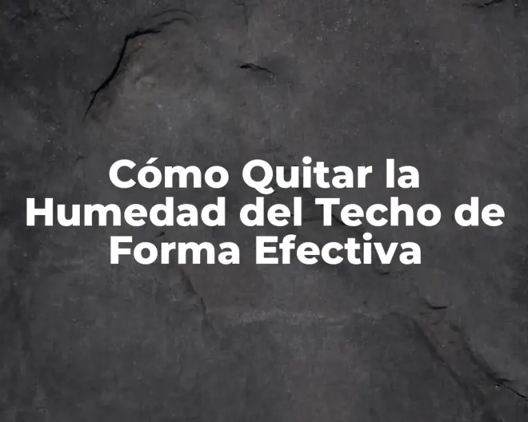 Cómo Quitar la Humedad del Techo de Forma Efectiva