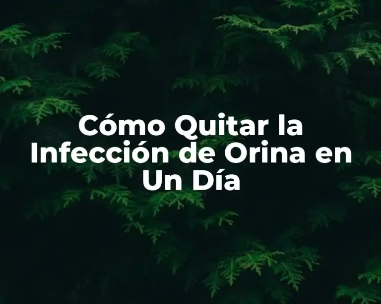 Cómo Quitar la Infección de Orina en Un Día