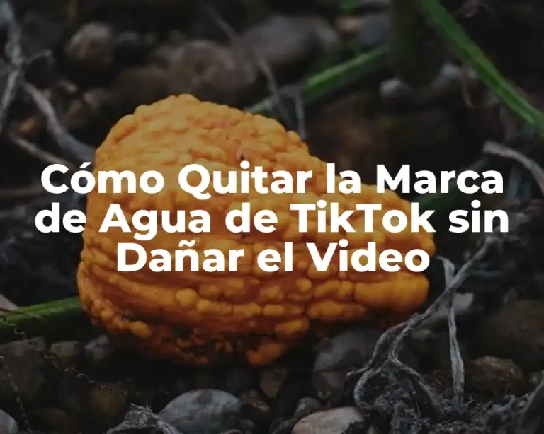 Cómo Quitar la Marca de Agua de TikTok sin Dañar el Video