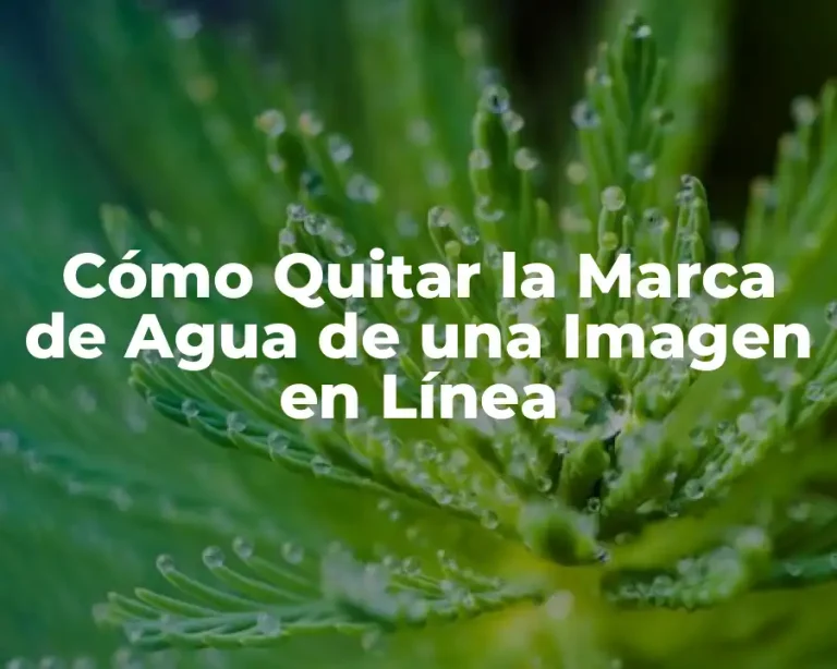 Cómo Quitar la Marca de Agua de una Imagen en Línea
