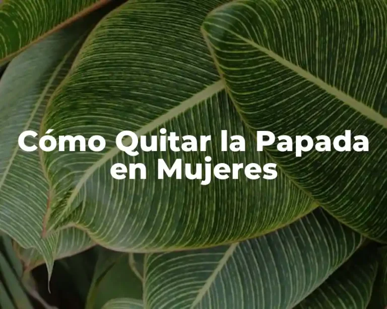 Cómo Quitar la Papada en Mujeres