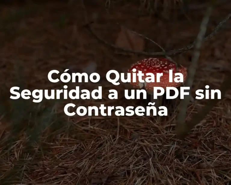 Cómo Quitar la Seguridad a un PDF sin Contraseña