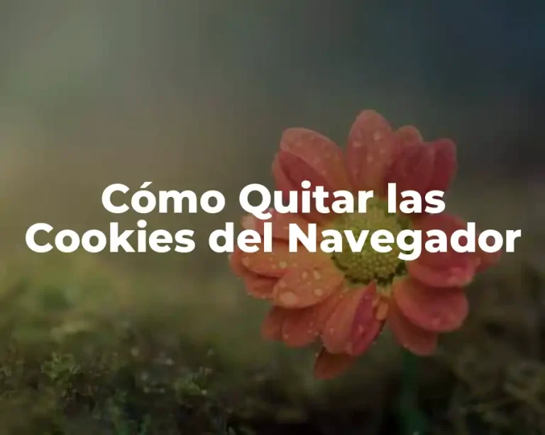 Cómo Quitar las Cookies del Navegador