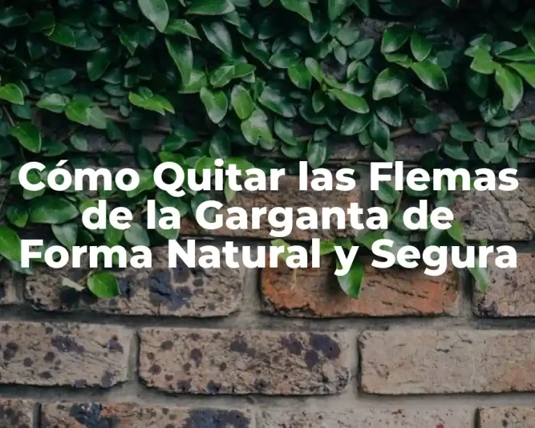 Cómo Quitar las Flemas de la Garganta de Forma Natural y Segura