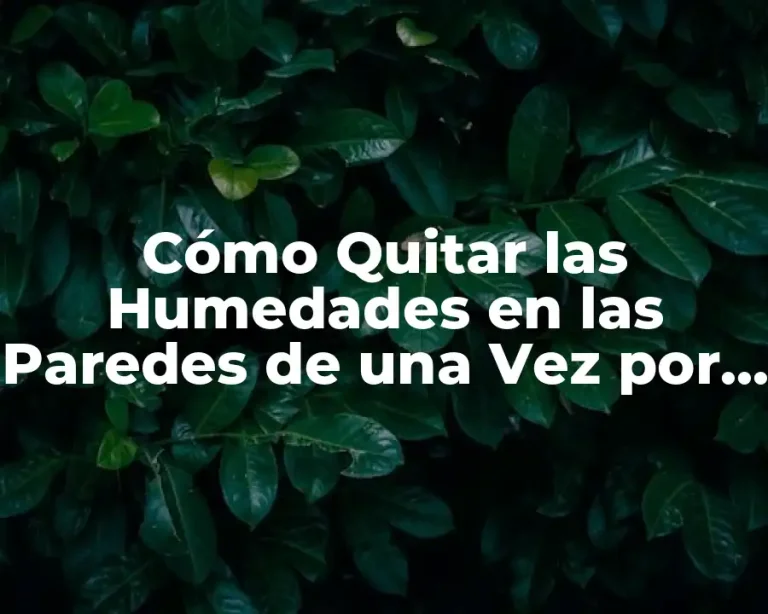 Cómo Quitar las Humedades en las Paredes de una Vez por Todas