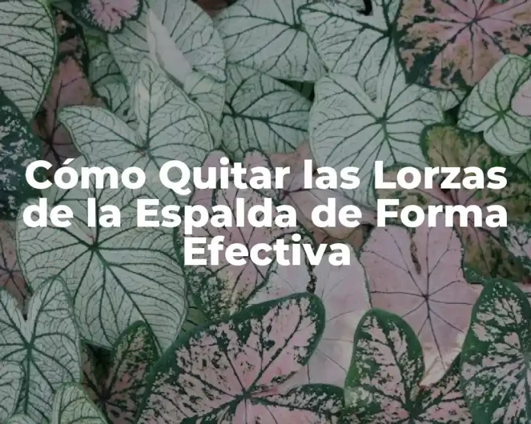 Cómo Quitar las Lorzas de la Espalda de Forma Efectiva