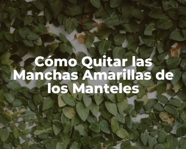 Cómo Quitar las Manchas Amarillas de los Manteles