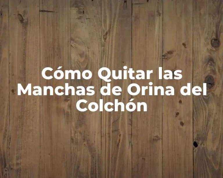 Cómo Quitar las Manchas de Orina del Colchón