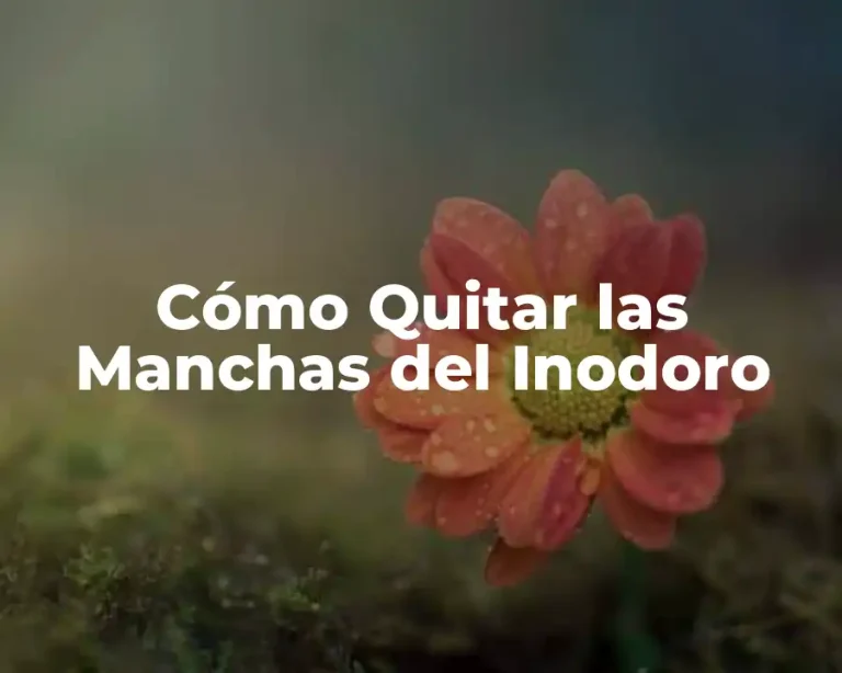 Cómo Quitar las Manchas del Inodoro