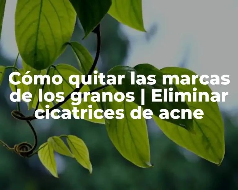 Cómo quitar las marcas de los granos | Eliminar cicatrices de acne